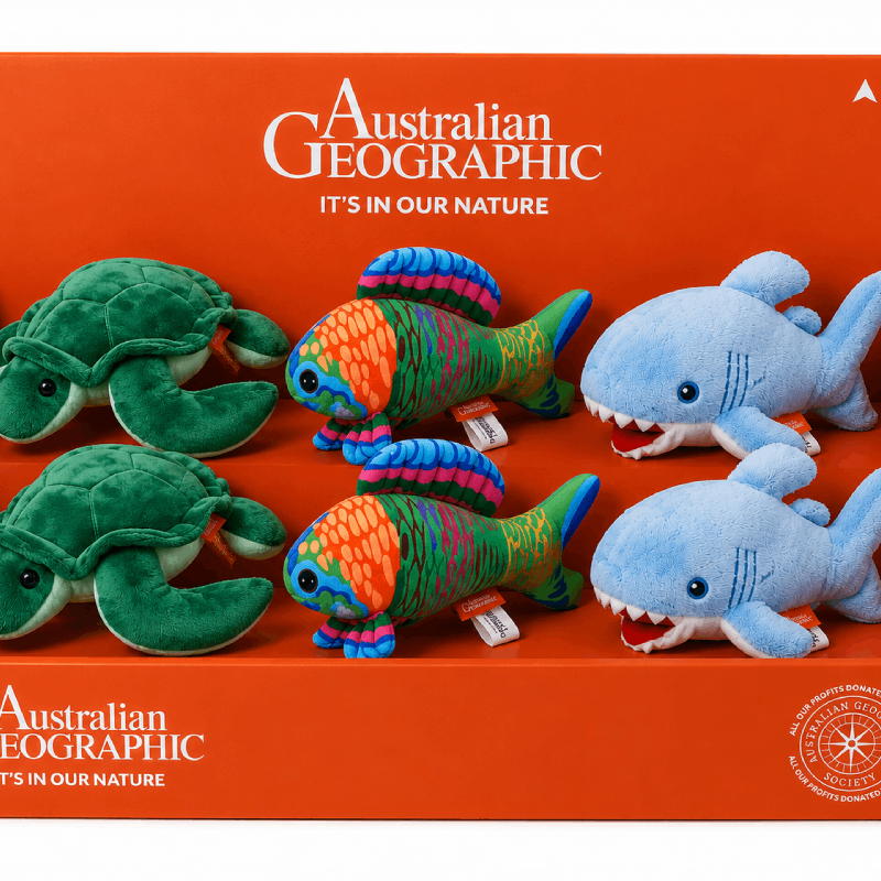 AG - Mini Aquarium Plush - Fish, Shark, Turtle - [6]