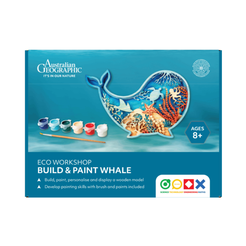 AG -  STEM Eco Workshop Build & Paint - Whale [6]