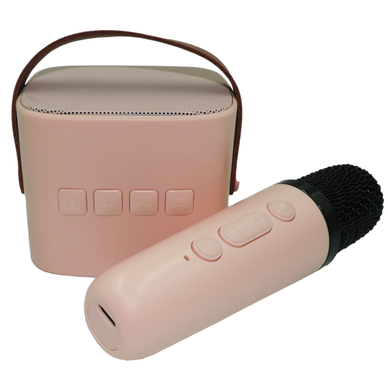 Mini Karaoke Speaker & Microphone