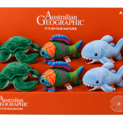 AGW0697.png
