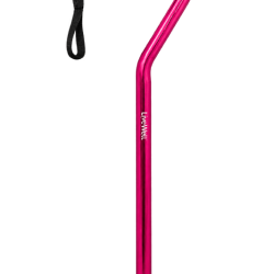 WS08__2_.png